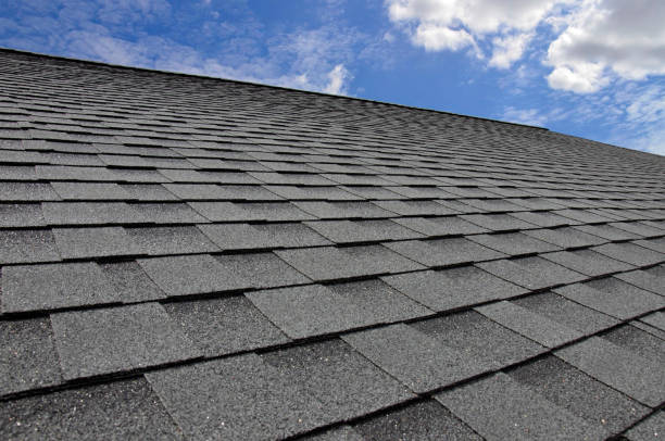 Best Solar Panel Roofing Installation  in Mayflower Village, CA