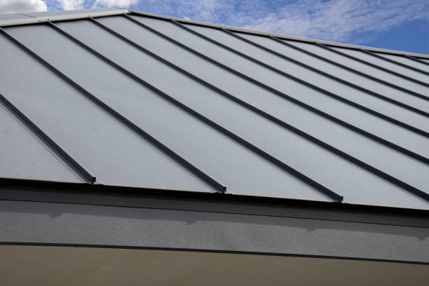 Best Roof Moss and Algae Removal  in Mayflower Village, CA