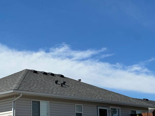 Best Roof Coating and Sealing  in Mayflower Village, CA